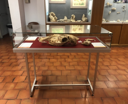 miroiterie_avignonnaise_vitrine_de_musee_requiem