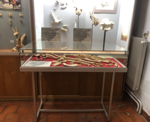 miroiterie_avignonnaise_vitrine_de_musee_requiem